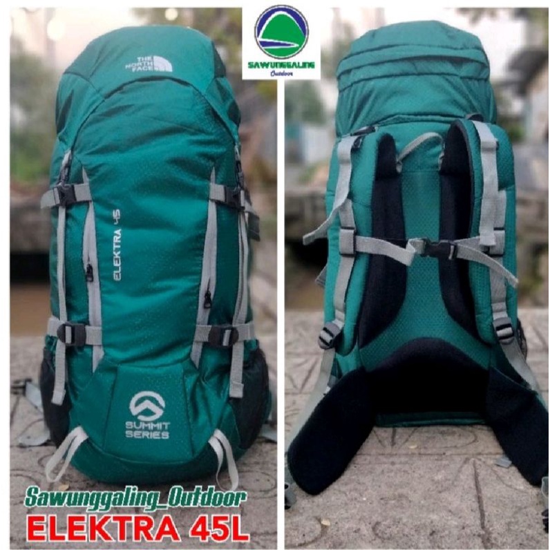 Carrier the north face electra sale