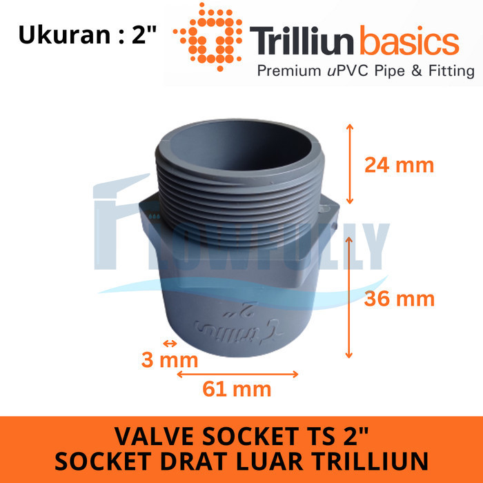 Valve SOCKET TS 2