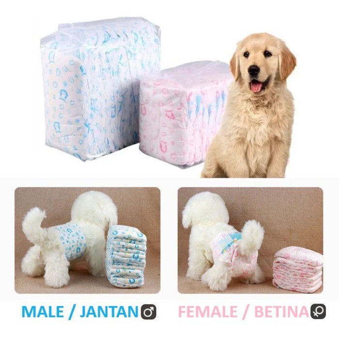 Diaper Pampers Diapers Male Cat Dog S,M | Shopee Philippines