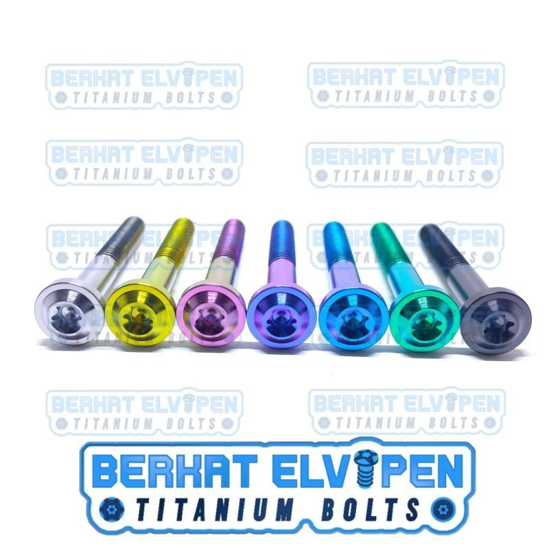 Big Head Titanium Bolt D16 M8x65 Thread 12 Length 65mm 6.5cm Gr5