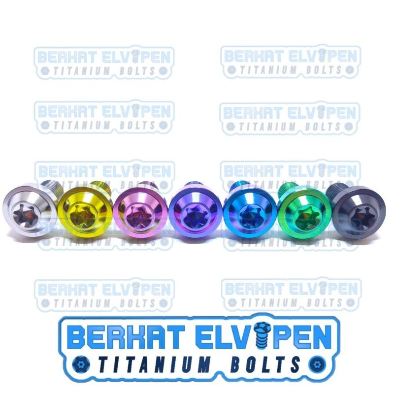 Titanium Bolt BIG HEAD M10x25 Thread 14 Length 25mm 2.5cm Grade 5