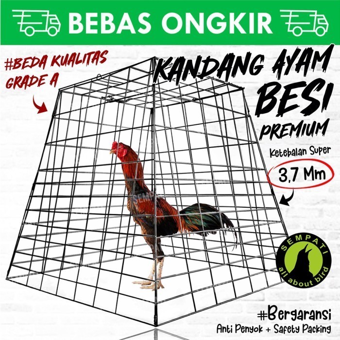 Galvanized Pyramid Cage Pyramid Iron Cage Fighting Cocks Fighting ...