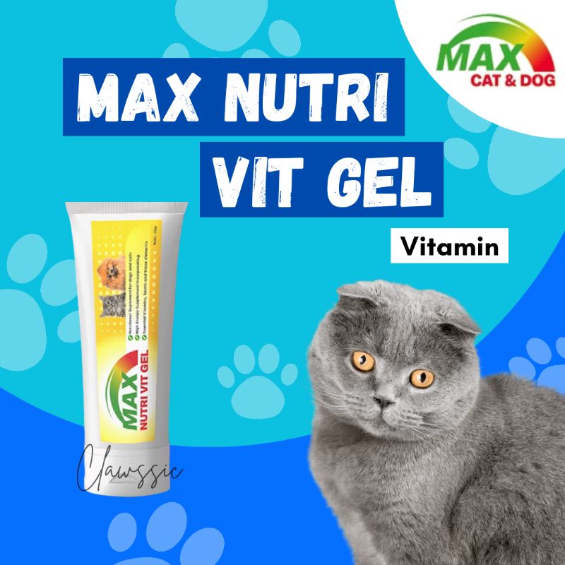 Shop max vit for Sale on Shopee Philippines