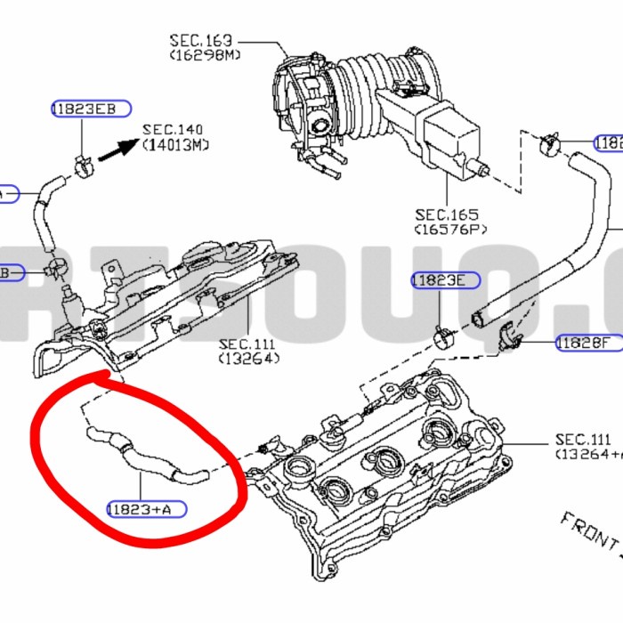 Hose Bypass Blow By Cover Valve Nissan Teana J32 Original (Nissan Parts