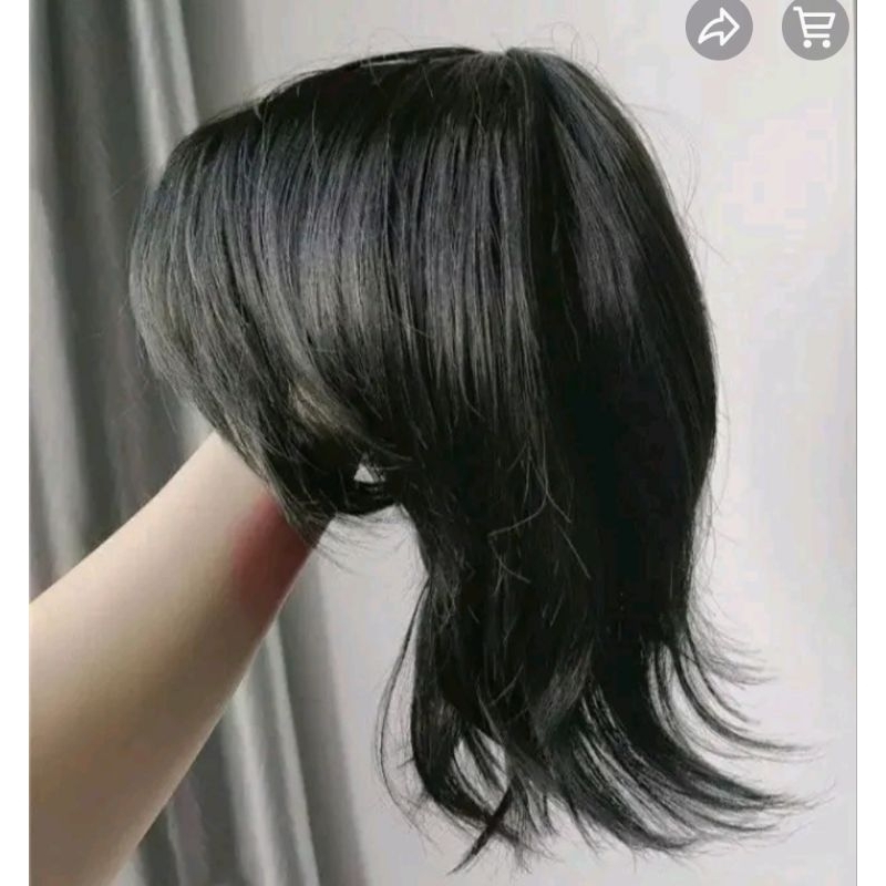 Wolf Tail MULLET Men's Fake Hair WIG Shopee Philippines