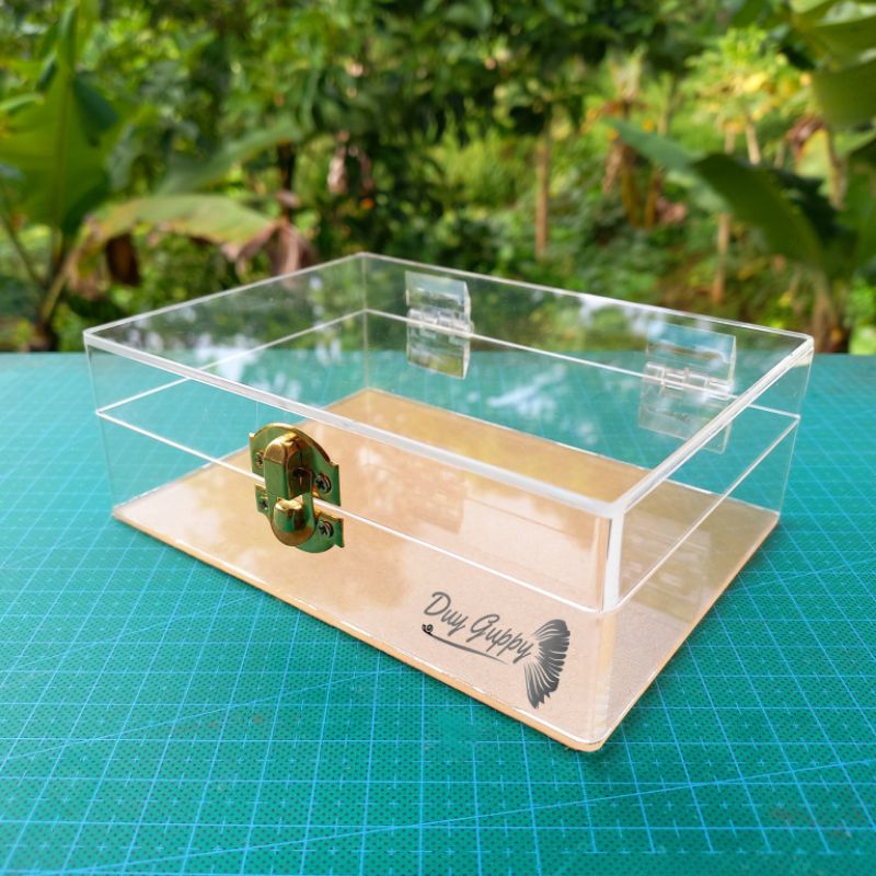 Dowry Box/Multipurpose Acrylic Box | Shopee Philippines