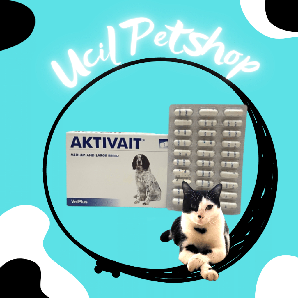 Vetplus Medium Breed & Large Breed Brain Supplement For Dogs (1 Caps