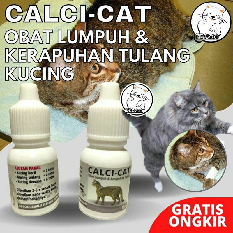 Cat Paralysis Medicine Seizures Tetanus Bad Nutrition Calcicat Shopee