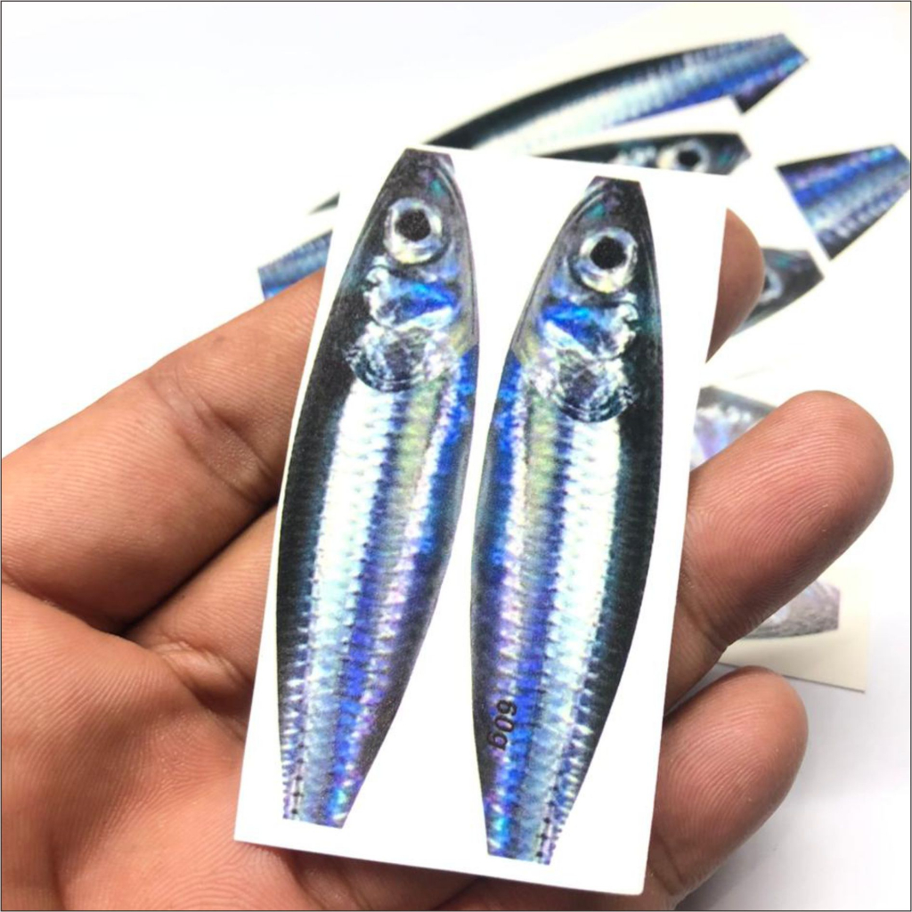 Water SLIDE decal metal jig koika 60g 80g 100g 200g Anchovy