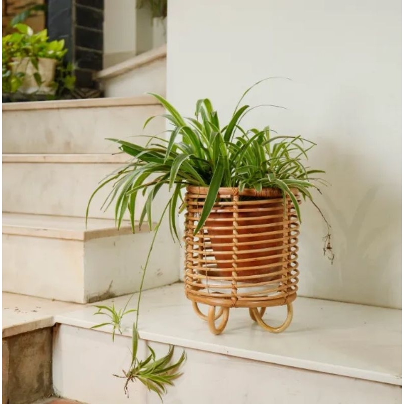 Aesthetic RATTAN POT COVER | Shopee Philippines