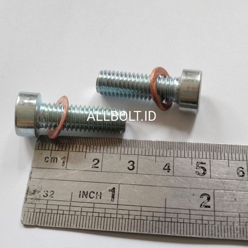 Honda Flute L Bolt 2.5cm 1set Shopee Philippines