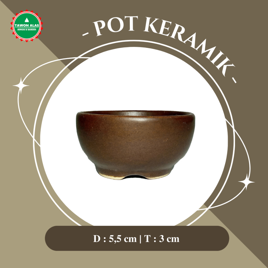 Shito Mini Small Round Ceramic Bonsai Pot | Shopee Philippines