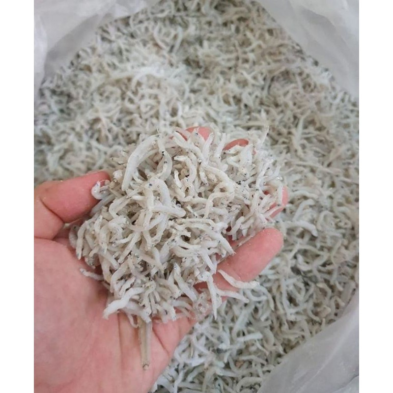 Medan Anchovy Anchovy super Dry Field Rice 1kg | Shopee Philippines