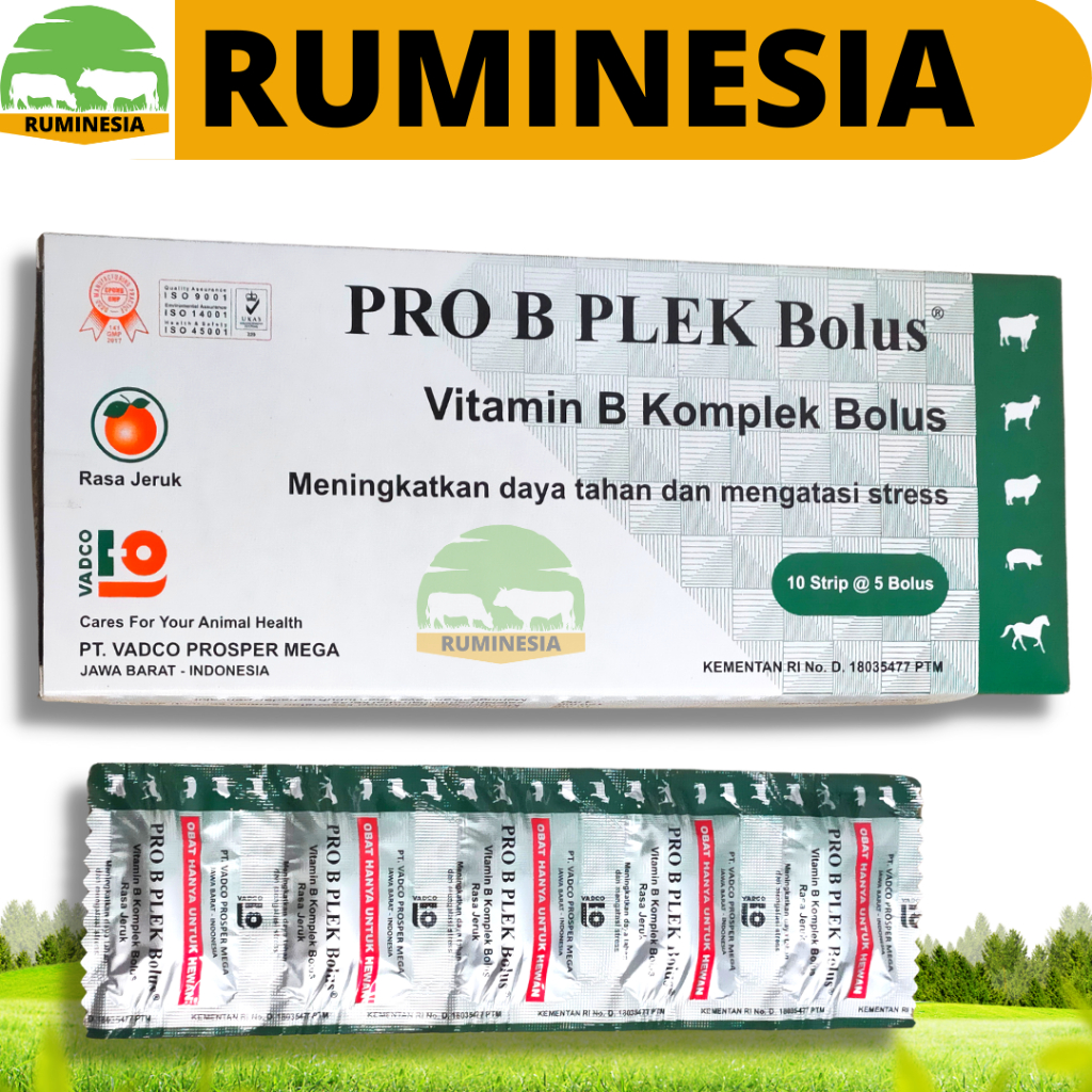 Pro B PLEK 1 BOLUS Vitamin Beef Appetite Orange Flavor Vitamin B