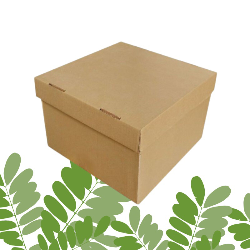 Big SIZE ASIA BOX 40X40X25 GOOD WUALTY CARDBOARD PACKING MULTIPURPOSE ...