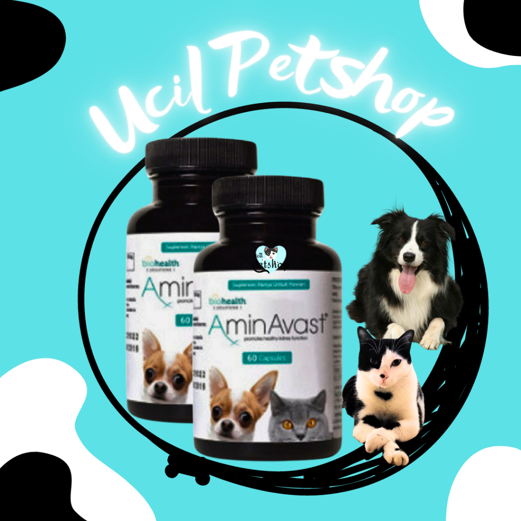 Aminavast Drug Supplement Function/Pain Renal Disorder Kidney Cat Dog