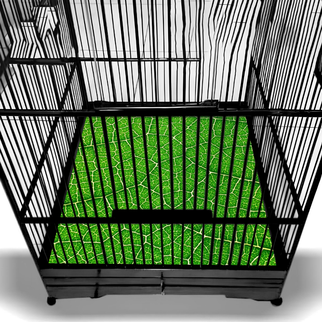 Floor Mats For Cages, Boxes, Grass Motifs, Flat Cages, Boarding Houses, Ebods, ORIQ, Etc