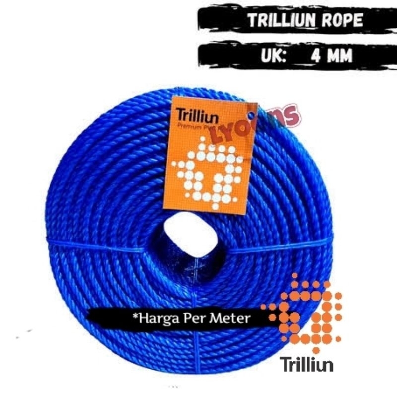 4mm rope / nylon rope / clothesline / swing rope Per meter | Shopee ...