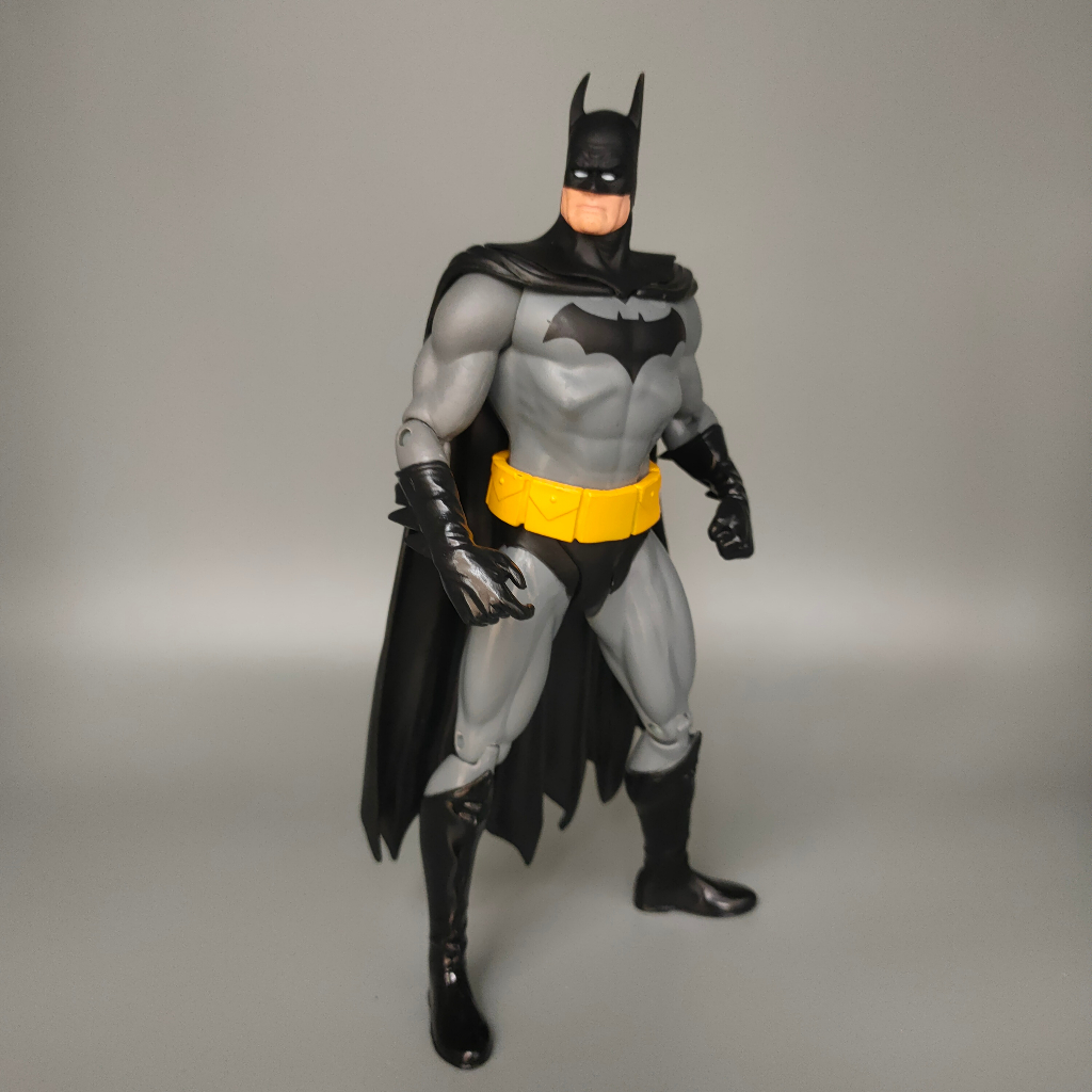 Batman Justice League Alex Ross Action Figure Display | Shopee Philippines