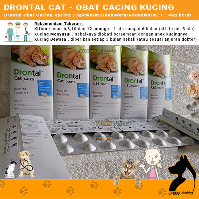 Drontal CAT Drontal CAT Worm Medicine Of All Ages Shopee Philippines
