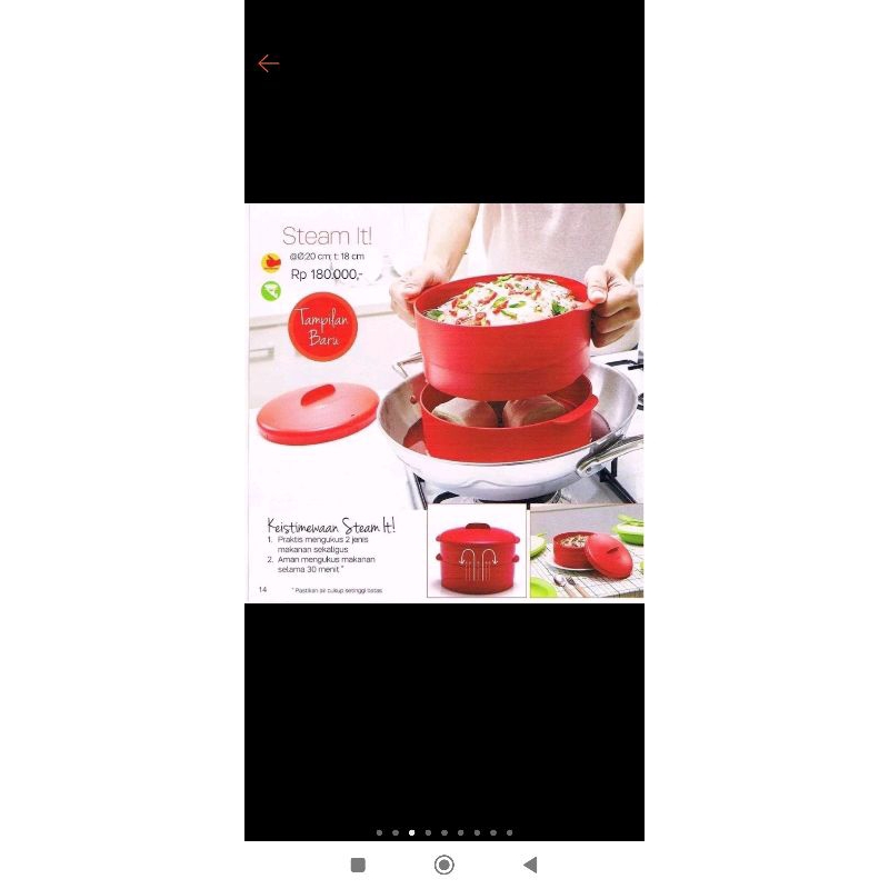 Steem it (Steam tupperware. new) | Shopee Philippines