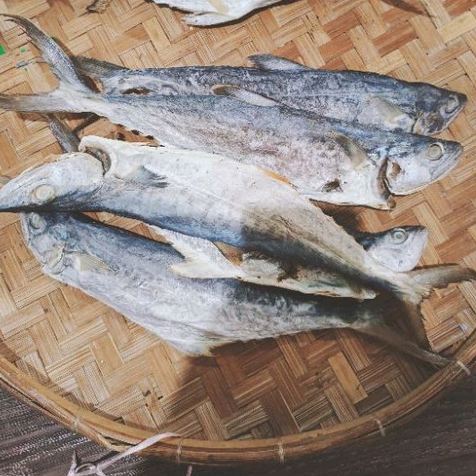 BK Long Salted Mackerel per tail, typical of Bagan Salted beka ...