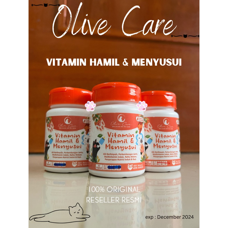 Olive Care Vitamin Pregnant And Breastfeeding For Adult Pregnant Cat