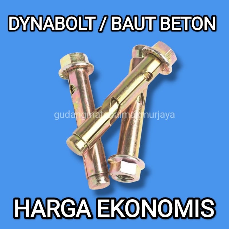 10x50 Dynabolt Expansion Bolt Anchor Bolt Concrete Bolt Shopee