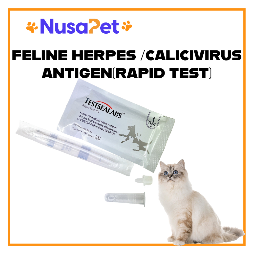 Herpes & Calicivirus Cat Virus Test Kit Cat Flu (1Pcs) Shopee