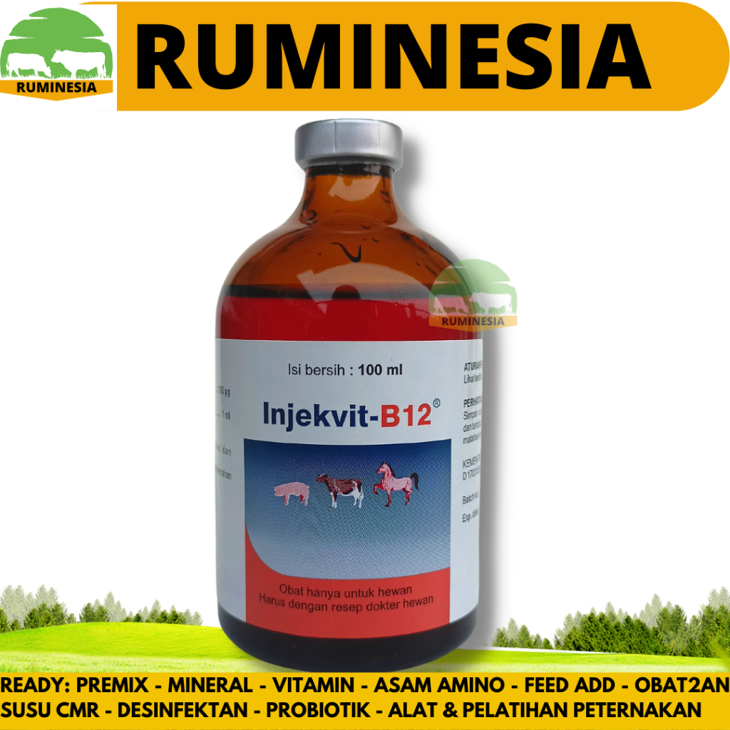 Injection B12 100ml Vitamin B12 To Improve Body Conditions, anemia