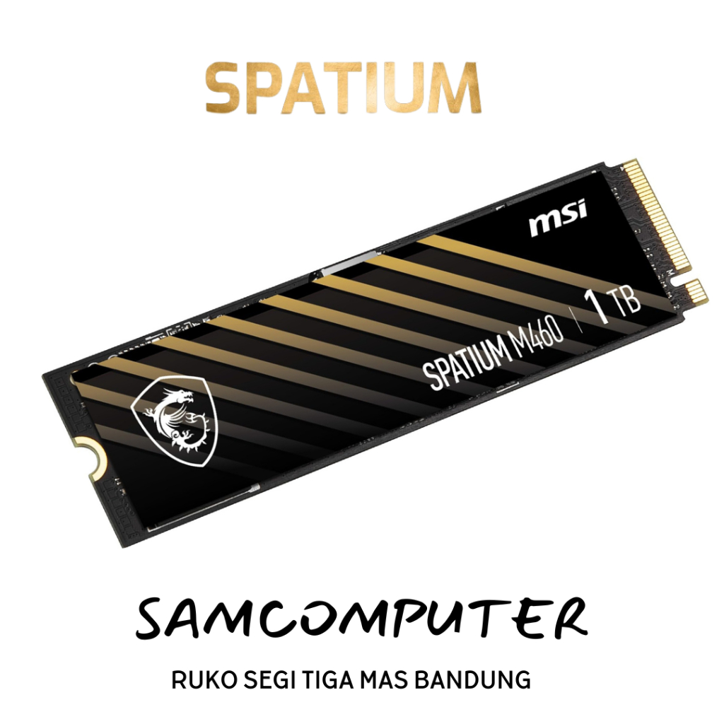 Msi Spatium M460 1TB Pcie Gen4 x4 M.2 Nvme | Shopee Philippines