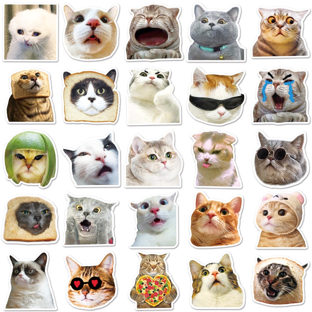 50pcs Cat Meme Stickers / Cat Meme Stickers / Waterproof Vinyl / Meme ...