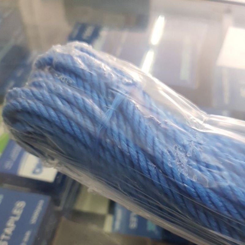 Rope Slap Rope/ Plastic Rope/ (30mtr Length) | Shopee Philippines