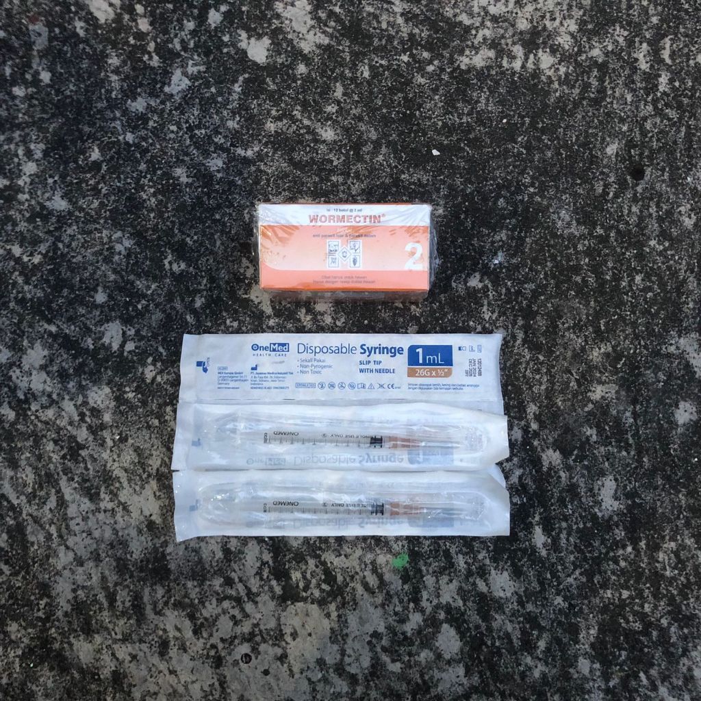 Scabies MEDICINE || Wormectin 2 ML || Free INJECTION 2CC | Shopee ...