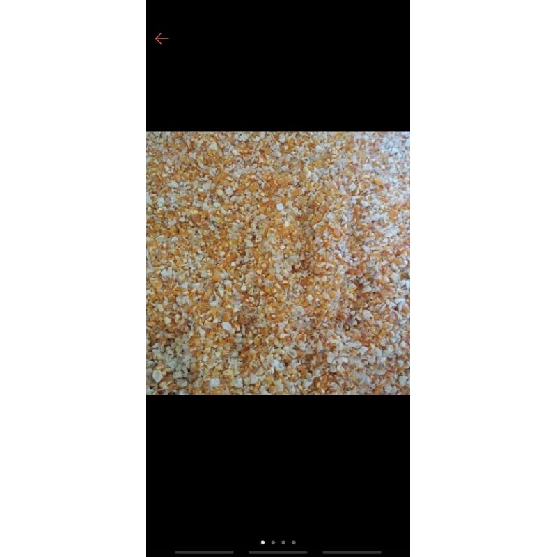 Shop ground corn for Sale on Shopee Philippines
