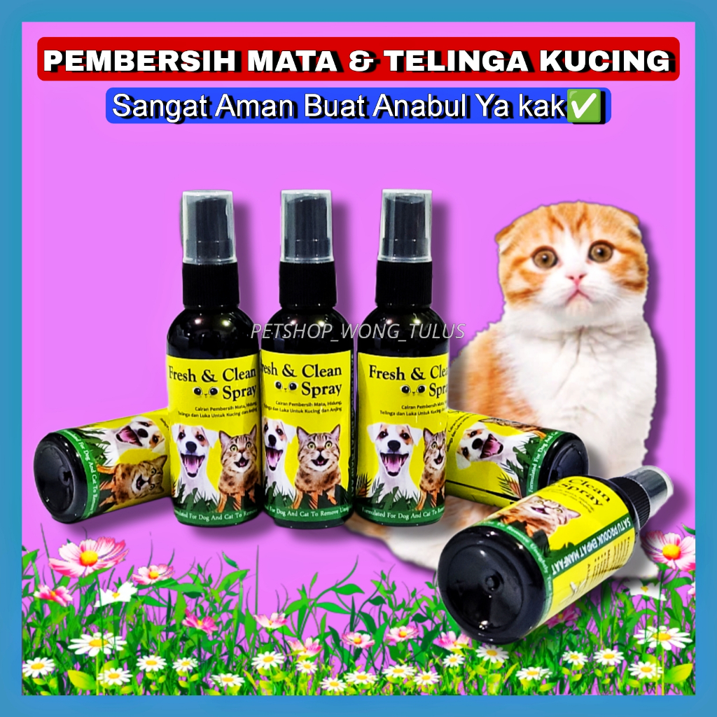 MATA Pswt- Fresh & Clean Spray Eye Cleaner for Cats Dogs Rabbits ...