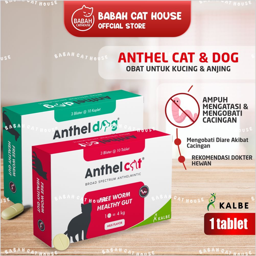 Anthel Cat Dog Worm Medicine Cat Dog Powerful Tablet For Children Kitten Puppy Adult Adult Antel