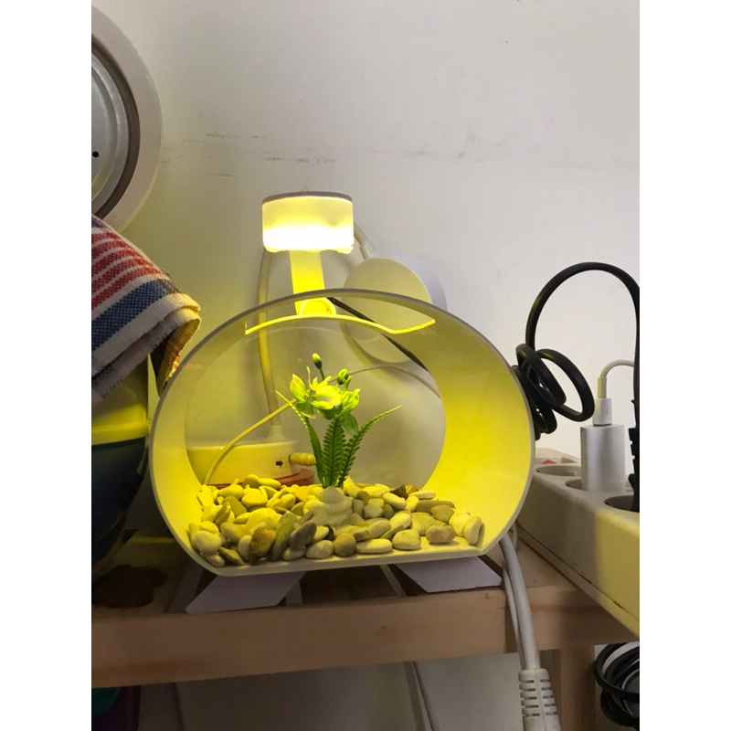 Acrylic Aquarium Mini Solitary Acrylic Aquarium Yellow Light (preloved ...