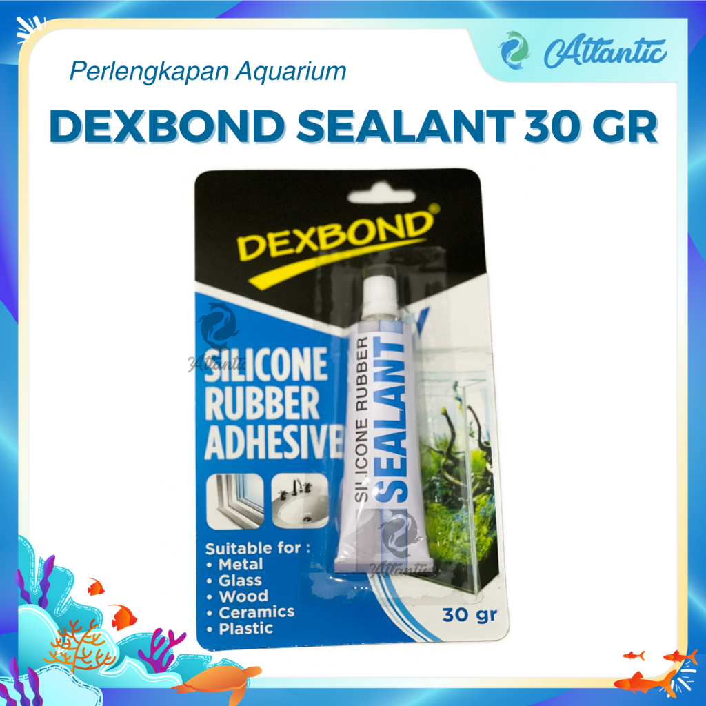 Dexbond Sealant Glue, Clear Glass Glue, Aquarium Sealant Glue, Aquarium ...