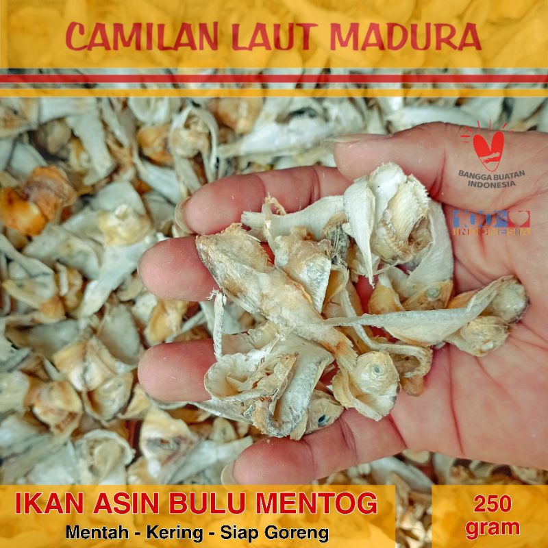 Dry RAW DUCK FEATHER SALTED FISH 250 grams Ready to Fry Madurese Sea ...