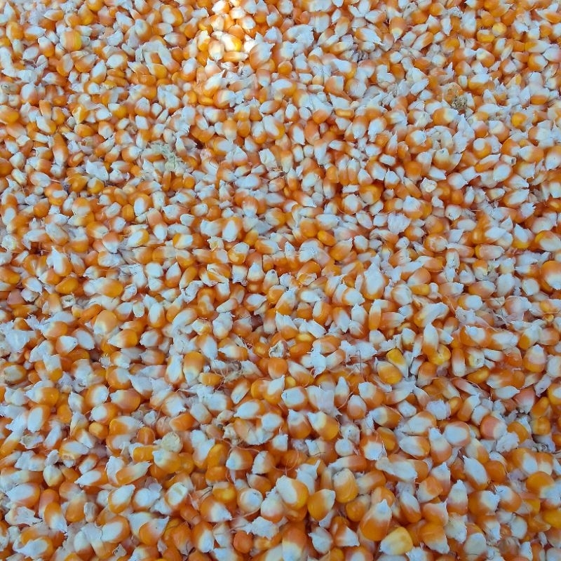 Pipel Corn 250g Blessing | Shopee Philippines