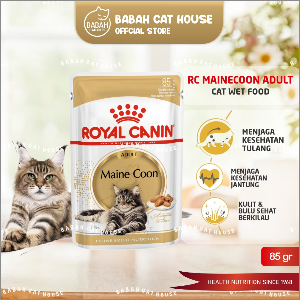 Rc MAINE COON PUCH ADULT 85gr Cat Wet Food Royal Canin Wet Food Cat