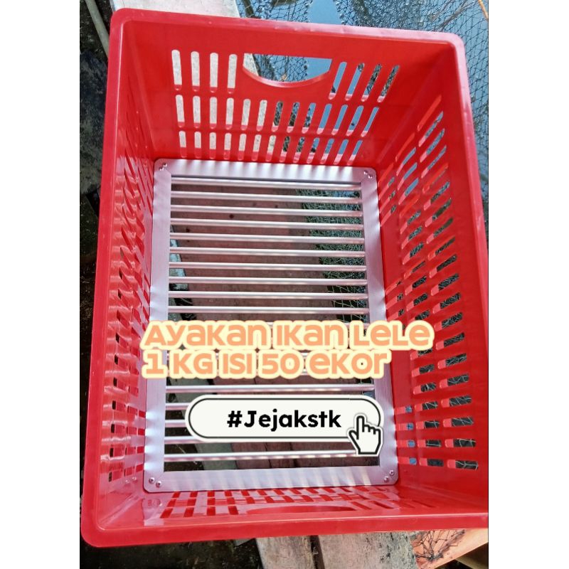 Aluminum system catfish sorting sieve 1 kg contains 50 fish | Shopee ...