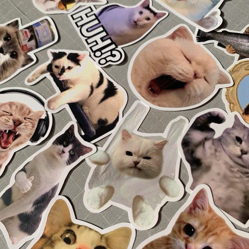 Cat Meme Sticker Pack | Shopee Philippines