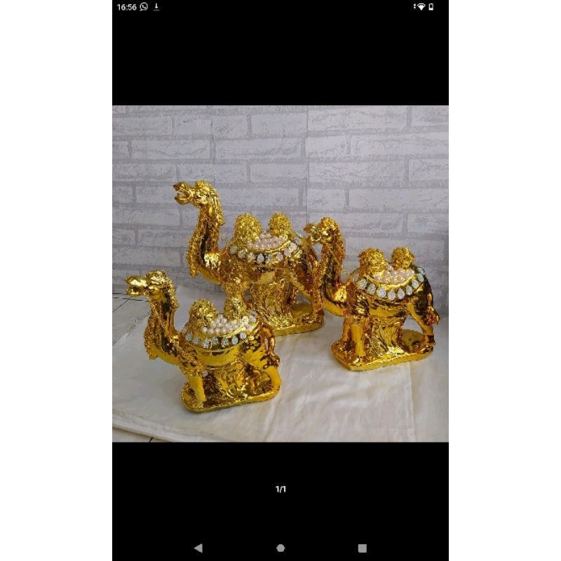 Small Camel Display (S) | Shopee Philippines