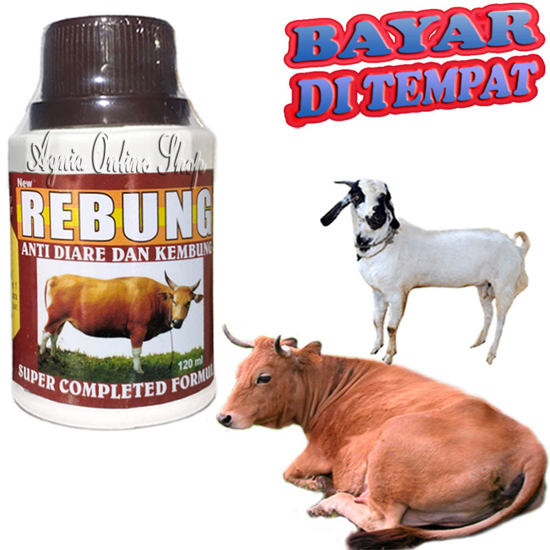 Goat Cow Medicine Picks Up Bamboo Shoots, Pain In Bloated Diarrhea