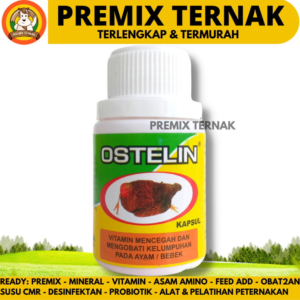 Ostelin 50 Capsules EKA FARMA Paralyzed Vitamin Medicine For Chicken