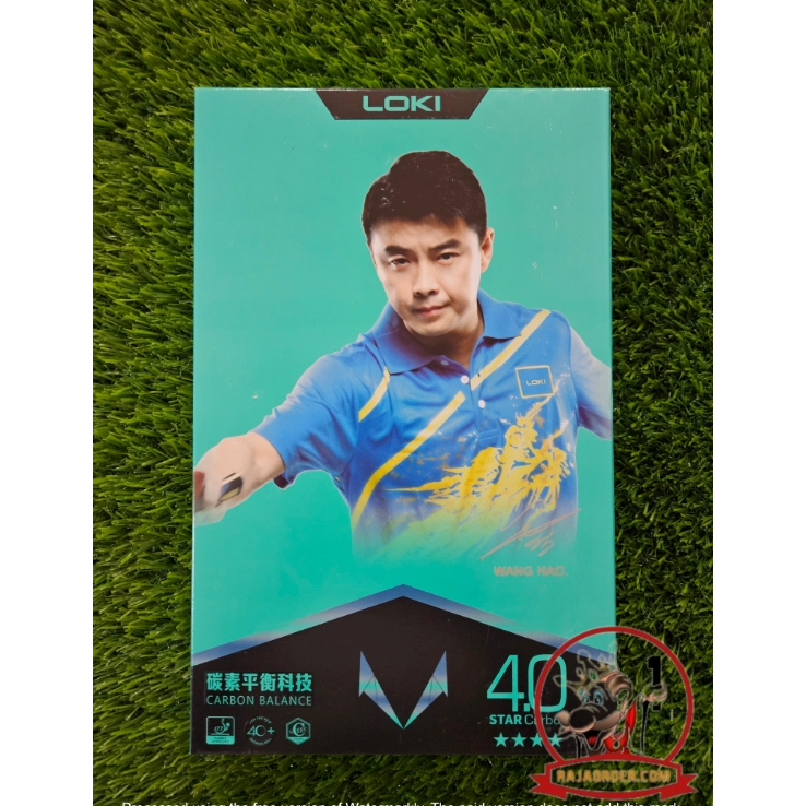 Loki R SERIES 4 Carbon Pingpong bat - Table tennis racket | Shopee ...