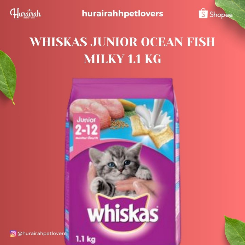 Whiskas JUNIOR OCEAN FISH MILKY 1.1 KG Shopee Philippines