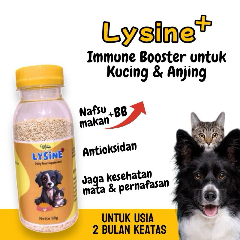 Lysine PLUS 50g MULTIVITAMIN Cat MULTIVITAMIN Dog VITAMIN Cat VITAMIN